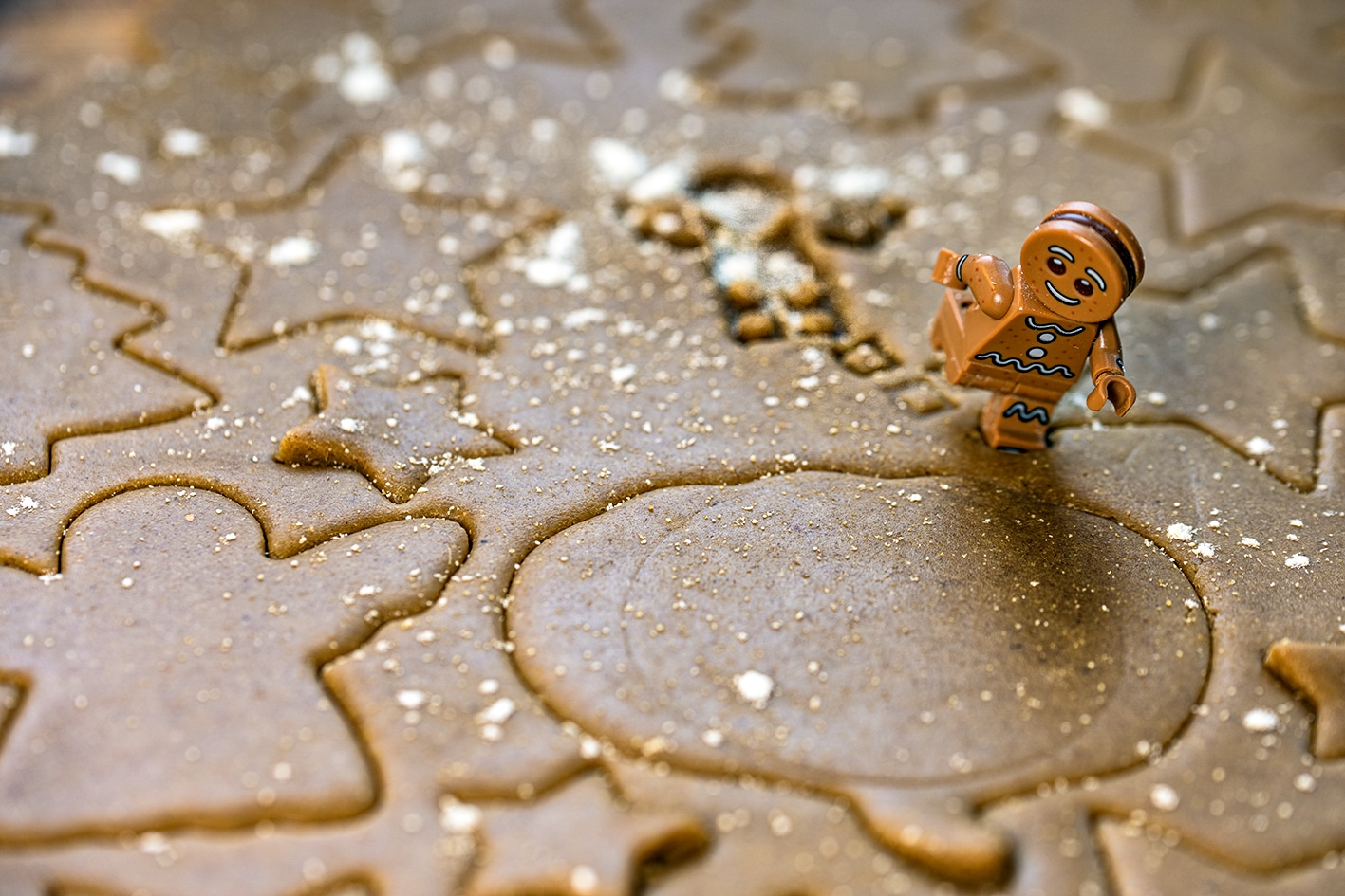 Dans cette Legographie c'est l'histoire du bonhomme en pain d'épice. En premier plan on voit un Lego "bonhomme de pain d'épice" qui court sur une plaque de pain d'épice prêt à être enfourné. afin d'échapper au four.