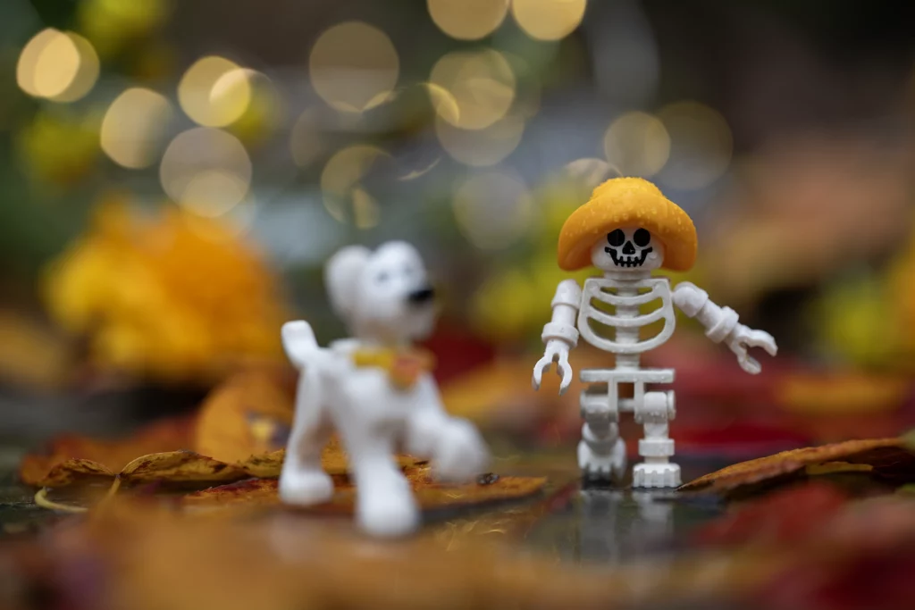 Mise en scène Legography, pour l'automne et Halloween. Theme humour..