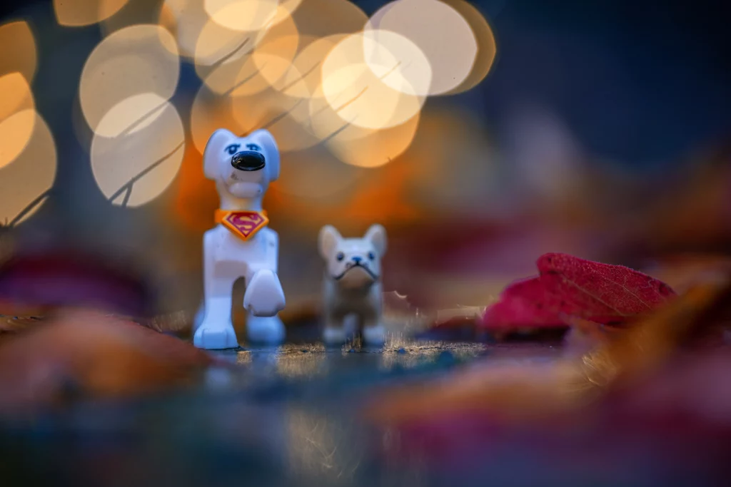 Scene de Legography. Deux chien quoi se promene dans les bois.. 