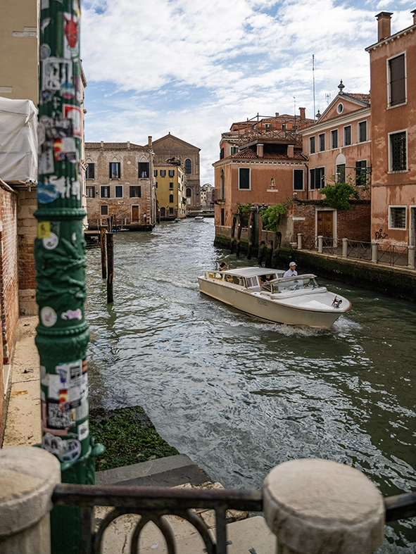 Photo d'un pigeon à Venise