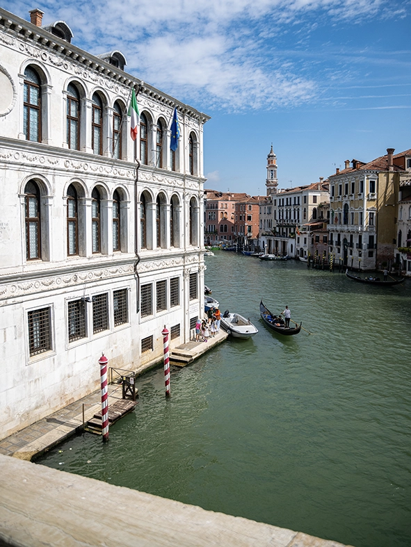 Photo d'un pigeon à Venise