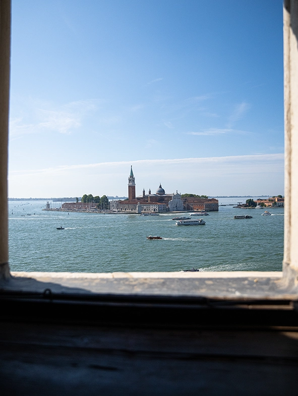 Photo d'un pigeon à Venise